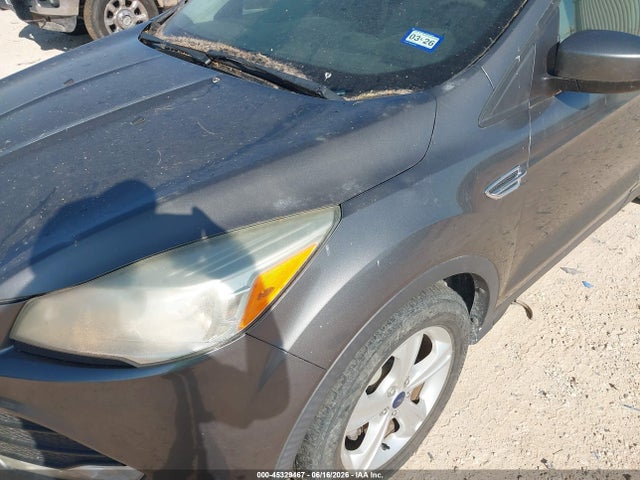 Aukcja sprzedaży 2014 Ford Escape Se, vin: 1FMCU0GX7EUB71490, numer aukcji: 45329467