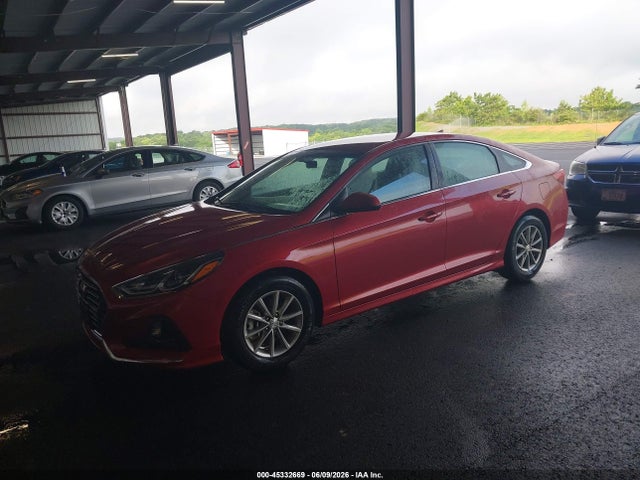 Hyundai SONATA ECO 2019 5NPE24AA8KH803028 Image 2