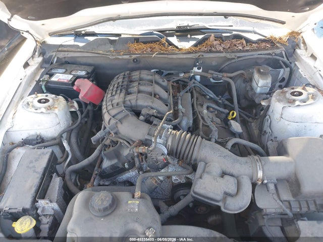 45335403 :رقم المزاد ، 1ZVBP8AMXB5132447 vin ، 2011 Ford Mustang V6 مزاد بيع