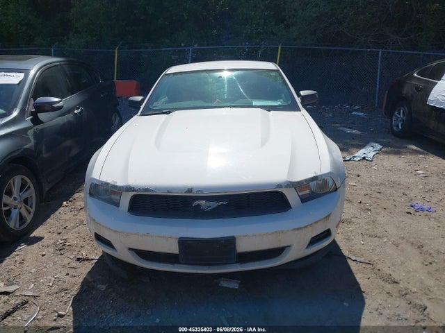 45335403 :رقم المزاد ، 1ZVBP8AMXB5132447 vin ، 2011 Ford Mustang V6 مزاد بيع