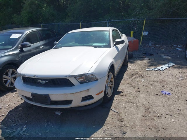 45335403 :رقم المزاد ، 1ZVBP8AMXB5132447 vin ، 2011 Ford Mustang V6 مزاد بيع