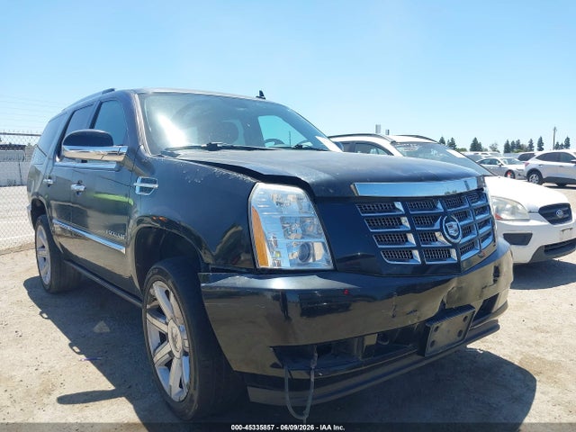 Продаж на аукціоні авто 2010 Cadillac Escalade Premium, vin: 1GYUCCEF8AR253534, номер лоту: 45335857