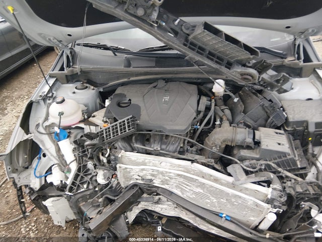 45336914 :رقم المزاد ، 5XYK6CDF5RG221012 vin ، 2024 Kia Sportage X-line مزاد بيع