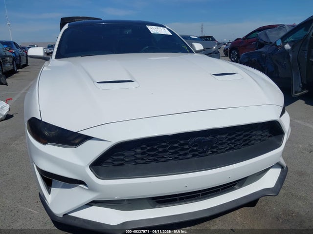 Ford Mustang Ecoboost Fastback 2020 1FA6P8TH9L5181893 Image 12