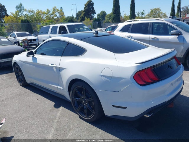 Ford Mustang Ecoboost Fastback 2020 1FA6P8TH9L5181893 Image 14