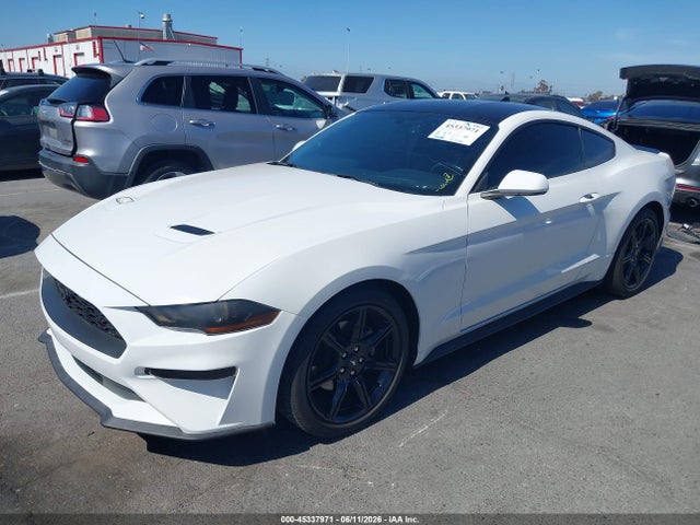 Ford Mustang Ecoboost Fastback 2020 1FA6P8TH9L5181893 Image 2