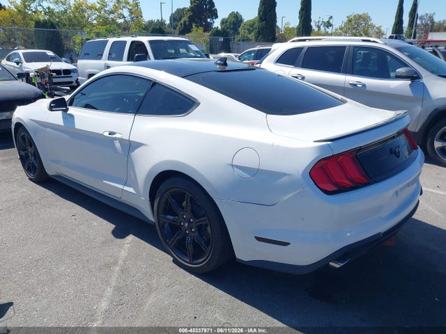 Ford Mustang Ecoboost Fastback 2020 1FA6P8TH9L5181893 Image 3