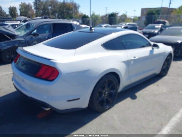 Ford Mustang Ecoboost Fastback 2020 1FA6P8TH9L5181893 Image 4