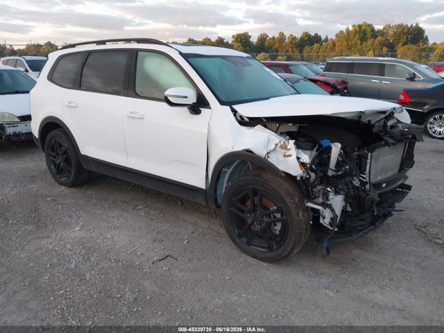 Продажа на аукционе авто 2025 Kia Telluride Sx Prestige X-line, vin: 5XYP5DGC6SG715420, номер лота: 45339730
