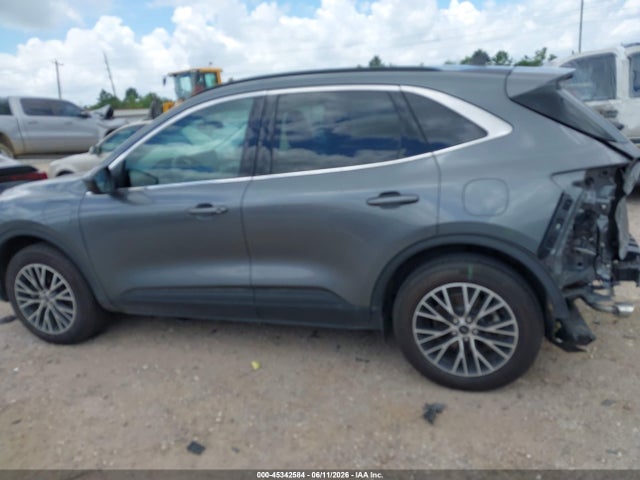 45342584 :رقم المزاد ، 1FMCU0E10SUA02387 vin ، 2025 Ford Escape Phev مزاد بيع