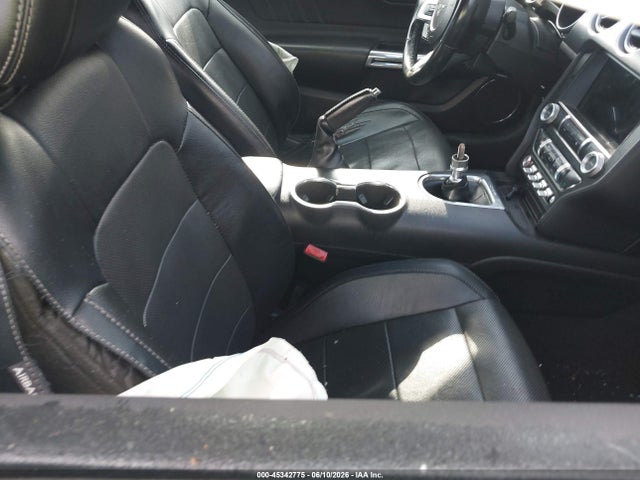 1FA6P8CFXK5160841 Ford Mustang Gt Premium