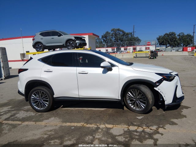 45343768 :رقم المزاد ، JTJHKCEZXR2019269 vin ، 2024 Lexus Nx 350h Luxury مزاد بيع