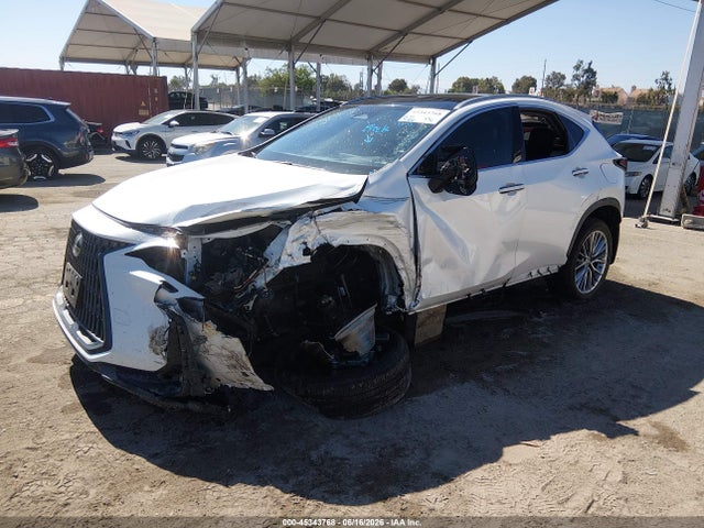 45343768 :رقم المزاد ، JTJHKCEZXR2019269 vin ، 2024 Lexus Nx 350h Luxury مزاد بيع