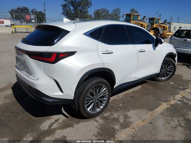 45343768 :رقم المزاد ، JTJHKCEZXR2019269 vin ، 2024 Lexus Nx 350h Luxury مزاد بيع