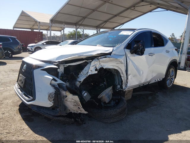45343768 :رقم المزاد ، JTJHKCEZXR2019269 vin ، 2024 Lexus Nx 350h Luxury مزاد بيع