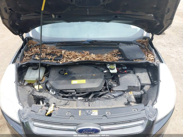 Продаж на аукціоні авто 2014 Ford Escape Se, vin: 1FMCU0GX7EUD16284, номер лоту: 45345033