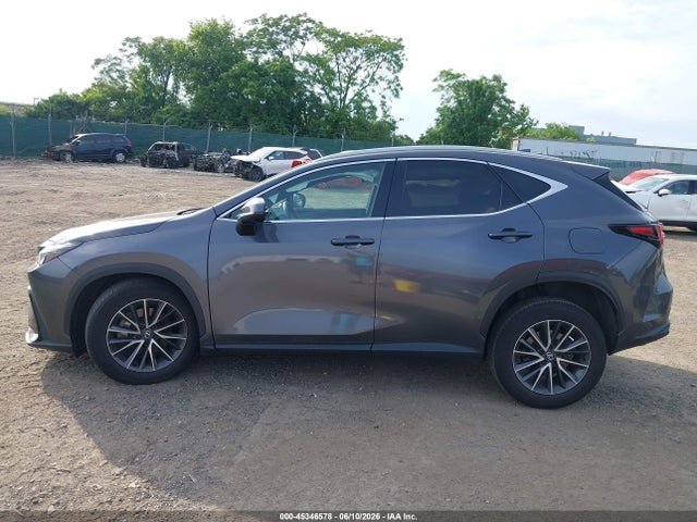45346578 :رقم المزاد ، 2T2GGCEZ9SC071236 vin ، 2025 Lexus Nx 350 Premium مزاد بيع