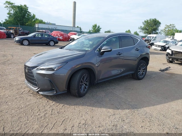 45346578 :رقم المزاد ، 2T2GGCEZ9SC071236 vin ، 2025 Lexus Nx 350 Premium مزاد بيع