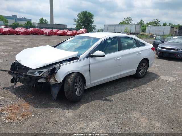 Продаж на аукціоні авто 2016 Hyundai Sonata, vin: 5NPE24AF1GH434967, номер лоту: 45348244