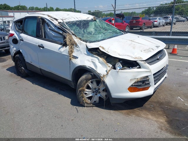 Aukcja sprzedaży 2014 Ford Escape S, vin: 1FMCU0F79EUC17273, numer aukcji: 45348747