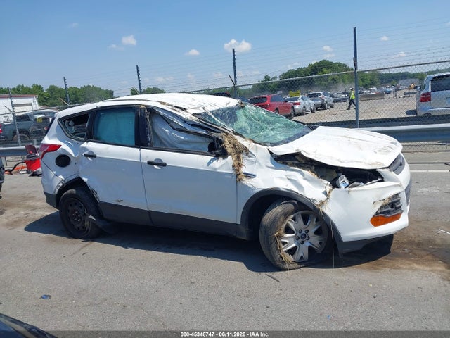 Aukcja sprzedaży 2014 Ford Escape S, vin: 1FMCU0F79EUC17273, numer aukcji: 45348747