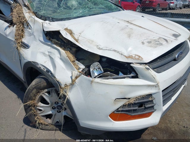 Aukcja sprzedaży 2014 Ford Escape S, vin: 1FMCU0F79EUC17273, numer aukcji: 45348747