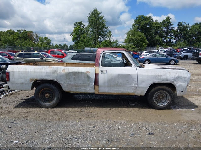 1982 Dodge D-series D300/d350 მანქანა იყიდება აუქციონზე, vin: 1B7KD34T2CS257740, აუქციონის ნომერი: 45349253