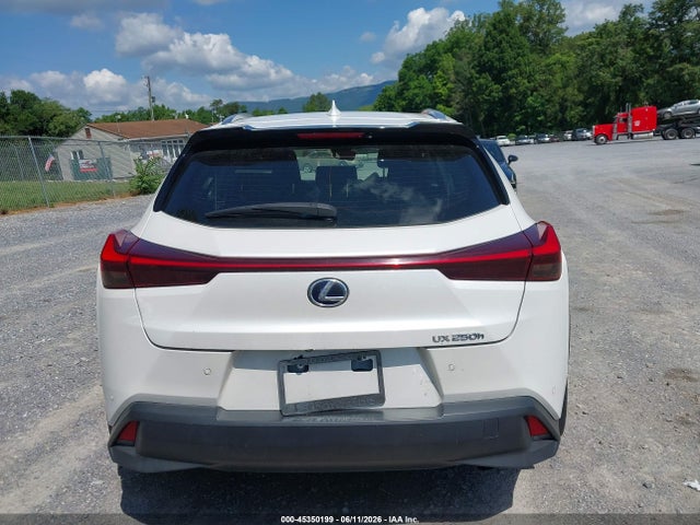 Продажа на аукционе авто 2020 Lexus Ux 250h, vin: JTHP9JBH7L2021402, номер лота: 45350199