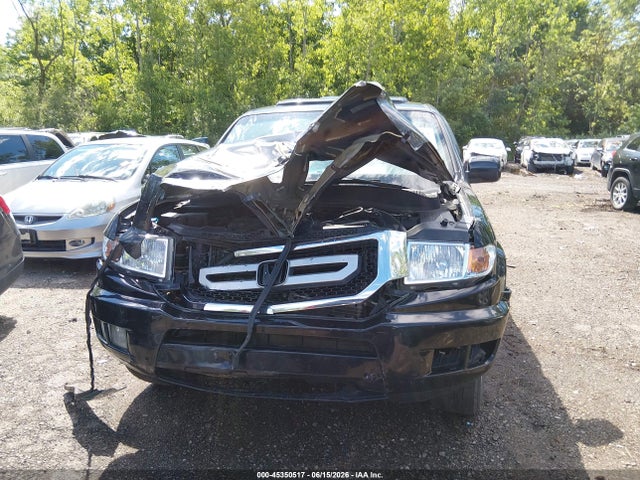 Auction sale of the 2011 Honda Ridgeline Rtl, vin: 5FPYK1F5XBB453138, lot number: 45350517