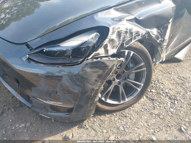 Продаж на аукціоні авто 2025 Tesla Model Y Long Range Dual Motor Rear-wheel Drive, vin: 7SAYGDED6SF269807, номер лоту: 45351519