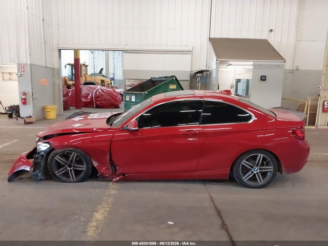Продаж на аукціоні авто 2017 Bmw 230i, vin: WBA2F9C35HV984064, номер лоту: 45351896