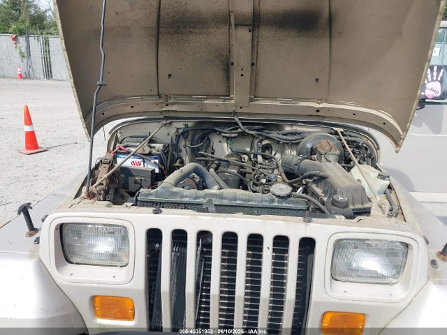 1995 Jeep Wrangler / Yj S/rio Grande მანქანა იყიდება აუქციონზე, vin: 1J4FY19P3SP286309, აუქციონის ნომერი: 45351953