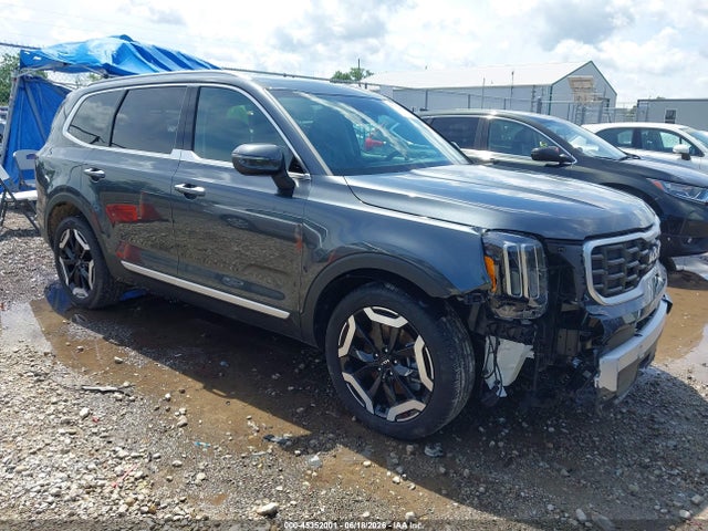 Продаж на аукціоні авто 2024 Kia Telluride S, vin: 5XYP6DGC2RG556886, номер лоту: 45352001