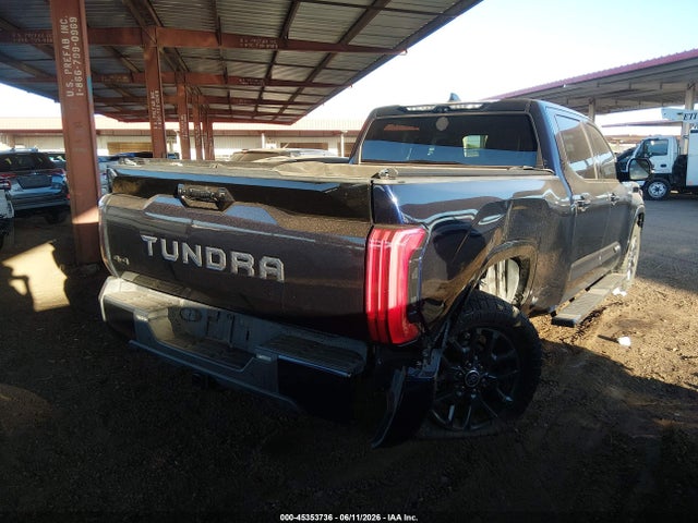 Toyota Tundra Platinum 2022 5TFNA5EC0NX008357 Image 4