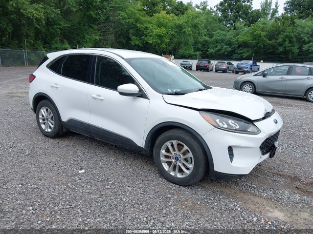Auction sale of the 2020 Ford Escape Se, vin: 1FMCU0G69LUB65646, lot number: 45354506