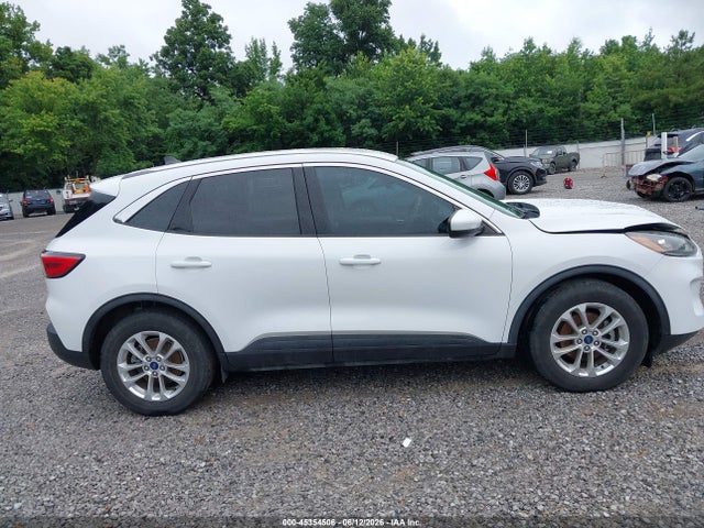 2020 Ford Escape Se მანქანა იყიდება აუქციონზე, vin: 1FMCU0G69LUB65646, აუქციონის ნომერი: 45354506
