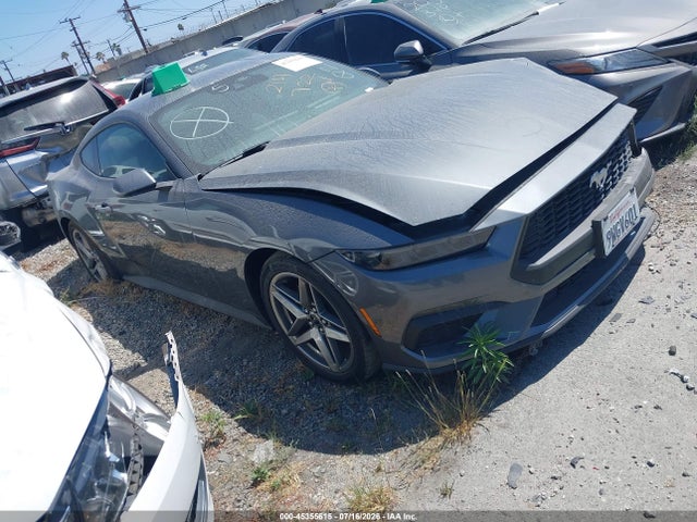 Ford Mustang Ecoboost Fastback 2025 1FA6P8TH5S5128705 Image 1