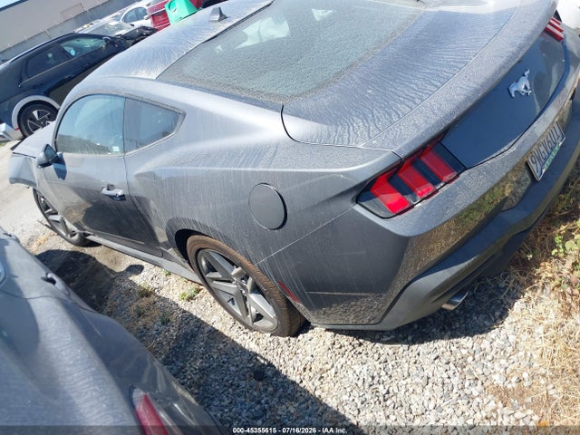 Ford Mustang Ecoboost Fastback 2025 1FA6P8TH5S5128705 Image 3