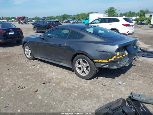 Ford Mustang Ecoboost Fastback 2020 1FA6P8TH9L5149171 Image 3
