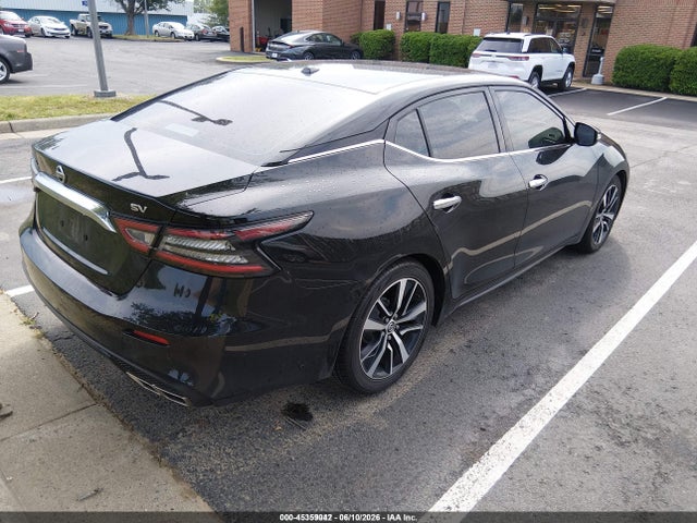 2022 Nissan Maxima Sv Xtronic Cvt მანქანა იყიდება აუქციონზე, vin: 1N4AA6CV7NC504830, აუქციონის ნომერი: 45359042