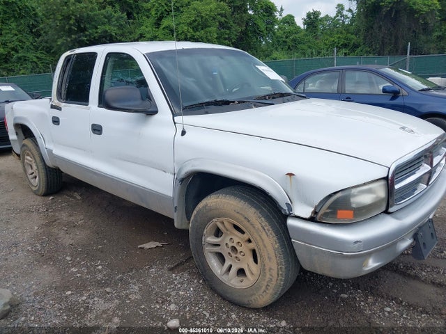 Продажа на аукционе авто 2004 Dodge Dakota Slt, vin: 1D7HL48NX4S682516, номер лота: 45361010