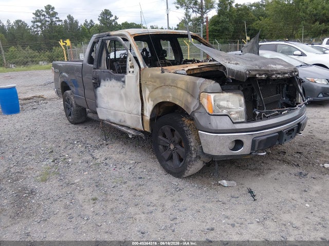 2013 Ford F-150 Xlt მანქანა იყიდება აუქციონზე, vin: 1FTFX1EF4DKD12597, აუქციონის ნომერი: 45364316