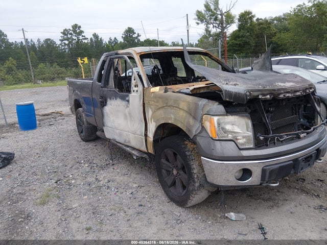 2013 Ford F-150 Xlt მანქანა იყიდება აუქციონზე, vin: 1FTFX1EF4DKD12597, აუქციონის ნომერი: 45364316