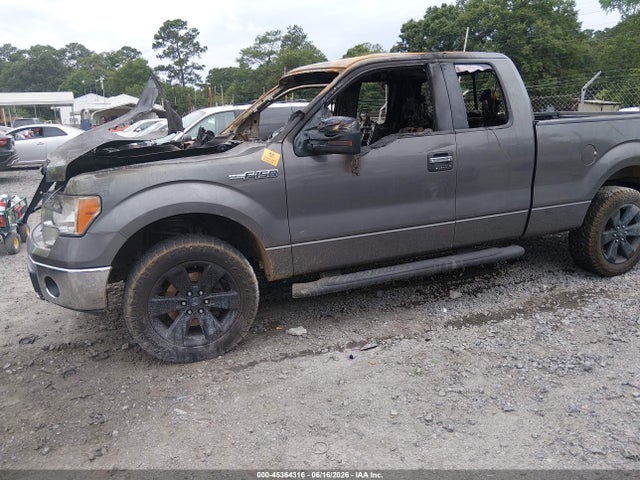 2013 Ford F-150 Xlt მანქანა იყიდება აუქციონზე, vin: 1FTFX1EF4DKD12597, აუქციონის ნომერი: 45364316