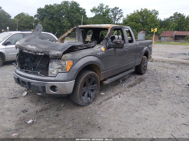 2013 Ford F-150 Xlt მანქანა იყიდება აუქციონზე, vin: 1FTFX1EF4DKD12597, აუქციონის ნომერი: 45364316