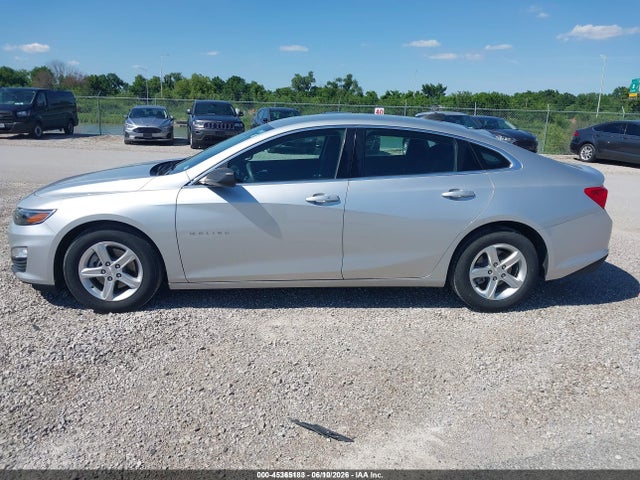 Chevrolet Malibu 1fl 2019 1G1ZC5ST2KF197314 Image 15