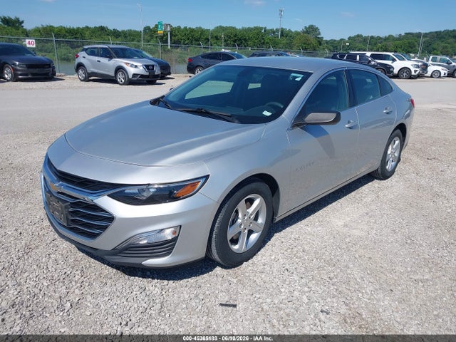 Chevrolet Malibu 1fl 2019 1G1ZC5ST2KF197314 Image 2
