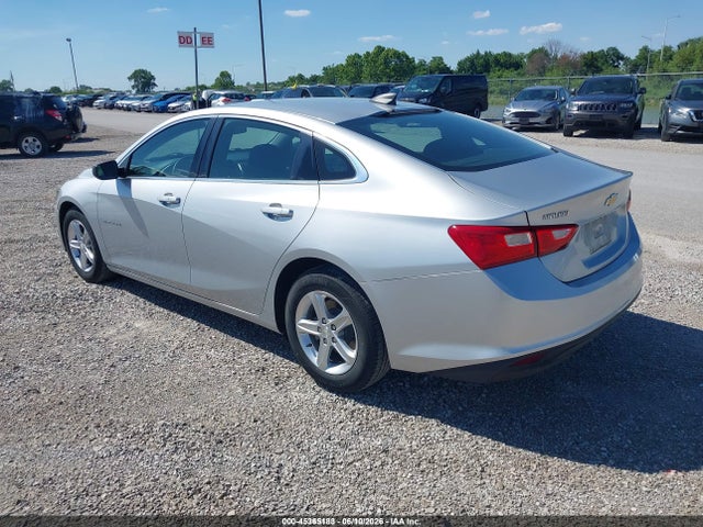 Chevrolet Malibu 1fl 2019 1G1ZC5ST2KF197314 Image 3
