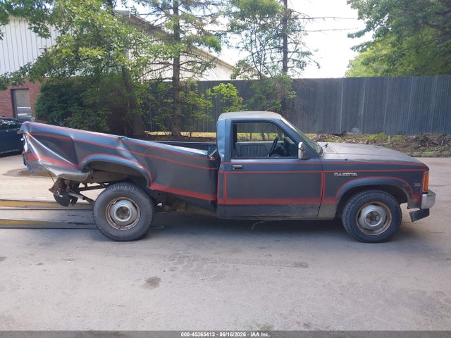 1987 Dodge Dakota მანქანა იყიდება აუქციონზე, vin: 1B7GN14M8HS316409, აუქციონის ნომერი: 45365413