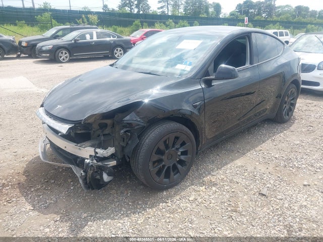 Продажа на аукционе авто 2024 Tesla Model Y Long Range Dual Motor All-wheel Drive, vin: 7SAYGDEE6RA245443, номер лота: 45365501